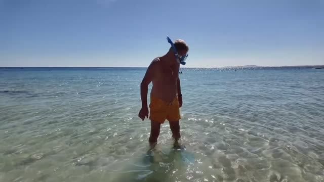 ЕГИПЕТ/ ЛУЧШИЙ ПЕСЧАНЫЙ ПЛЯЖ И ЛУЧШАЯ БУХТА В ШАРМ ЭЛЬ ШЕЙХЕ/ ОТЕЛЬ
FARAANA REEF 4