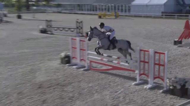 BALOUTINA - Francois Thiry - Bronze 1 - 1,15m - Valencia (26.10.2014) смотреть онлайн