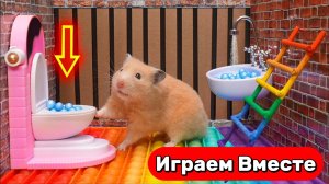 Лабиринт для Хомяка ! Умный Хомяк- побег из лавового лабиринта 🌋 Видео для детей 👍