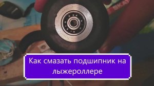 Как смазать подшипники на лыжероллерах , обслуживание и уход.