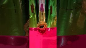 РИТУАЛ-ЧИСТКА ПОРЧИ ЗДОРОВЬЯ