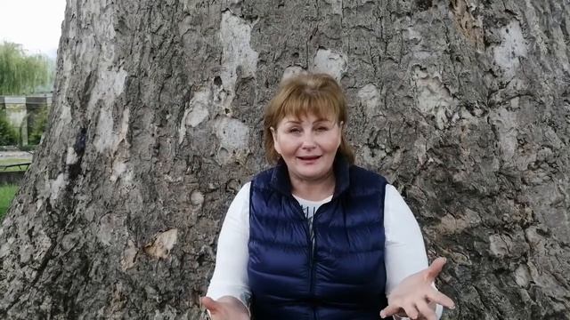 Связующая нить, сила компании в Объединении! смотреть онлайн