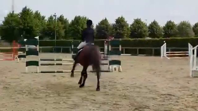 Veerle en SDV Enfant te Halkin Stables 70cm смотреть онлайн