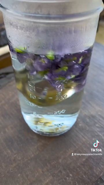 Foraging wild violets to use as facial toner #appalachian #foraging #violets #wildviolets смотреть онлайн