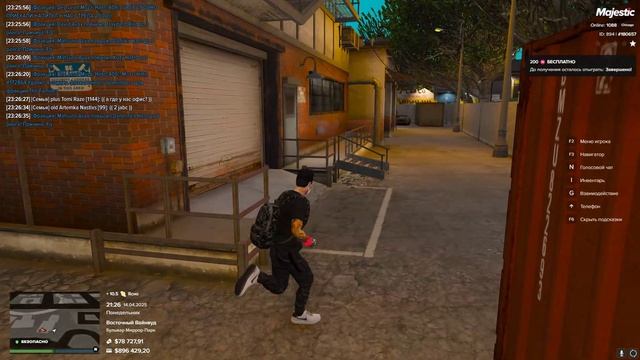 кошки мышки