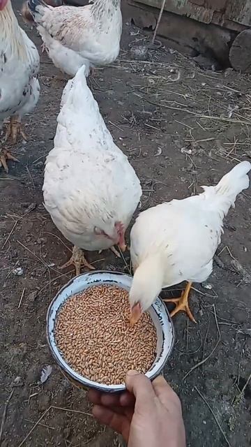 1 декабря 2022 г. смотреть онлайн