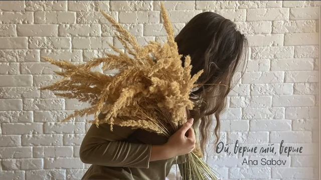 Ой, верше мій, верше (cover by Ana Sabov) смотреть онлайн