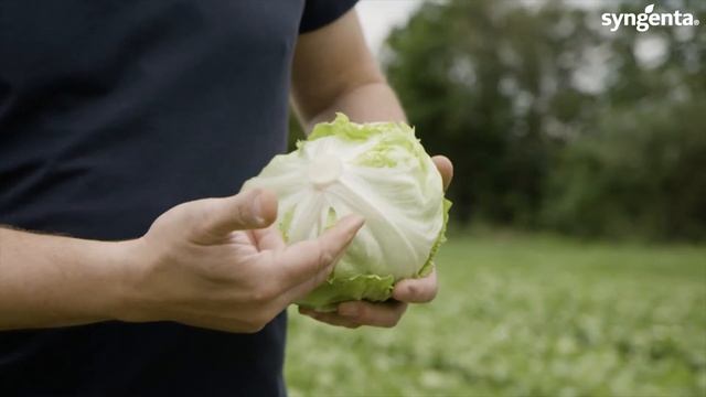 Syngenta vFOI Iceberg Ice Music смотреть онлайн