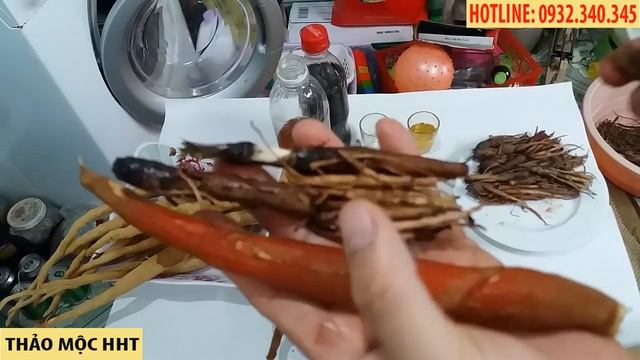 PHÂN BIỆT SÂM CAU ĐỎ - SÂM CAU ĐEN - SÂM TIÊN MAO - CÁCH NGÂM RƯỢU смотреть онлайн