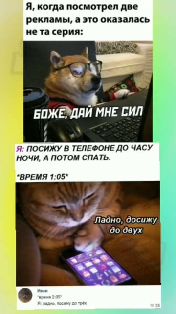 #мем #мемы смотреть онлайн
