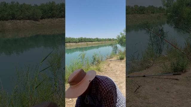 Рыбалка в Средней Азии смотреть онлайн