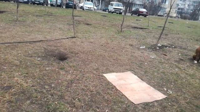 Аша смотреть онлайн