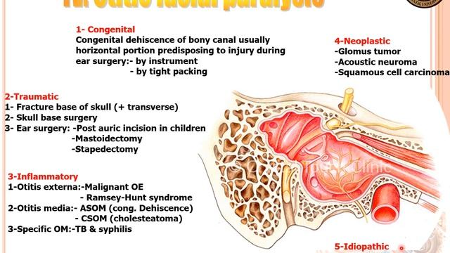 Prof. Alaa Eldin Elfeky/Complications of CSOM/الأستاذ الدكتور علاء الدين الفقى смотреть онлайн