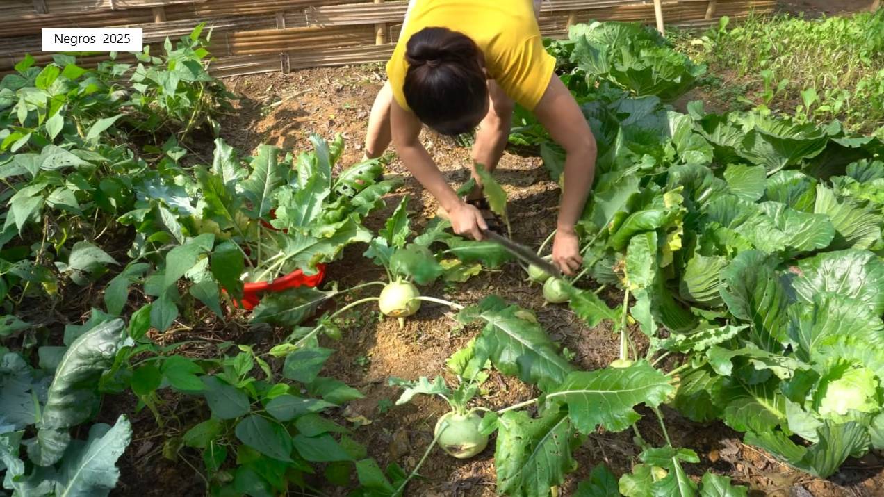 Дорис 10. Дорис собирает овощи с огорода, рыбачит, готовит вкусняшки! смотреть онлайн