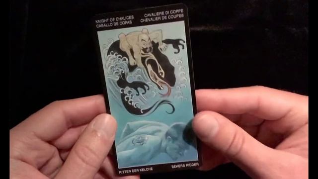 Tattooed Tarot (Lo Scarabeo) смотреть онлайн