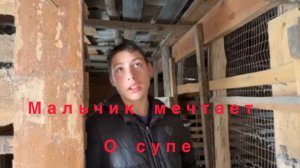 Вася на сене. Мальчик мечтает о супе.