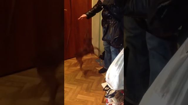 Кениамин прыгает 720 смотреть онлайн