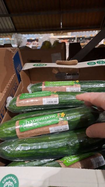 ЛУХОВИЦКИЙ ОГУРЕЦ. смотреть онлайн