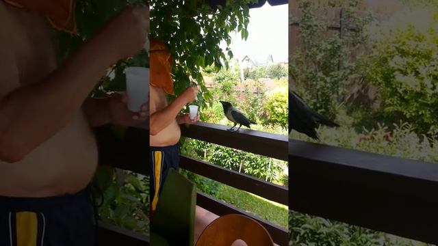 Завтрак смотреть онлайн