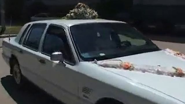 Свадьба во Владимире Инесса и Альберт смотреть онлайн