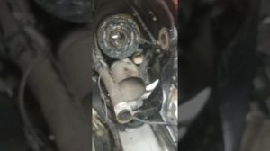 Mercruiser Bravo 3 bellows/gear lube line replacement.