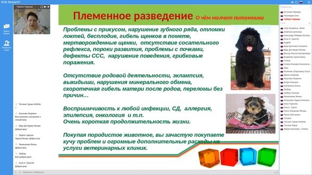 Трансфер Фактор для иммунитете животных смотреть онлайн