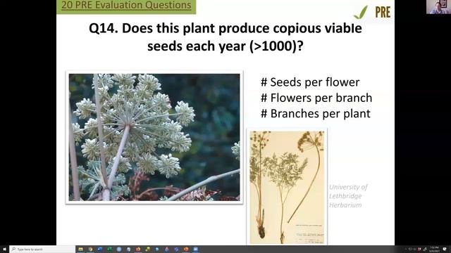 PRE Tool Partner Training #1 смотреть онлайн