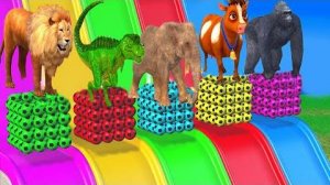 Мультики Слон, Горилла, Буйвол, Бегемот, Тигр, 3d-игра с животными, Забавные 3d-животные для детей