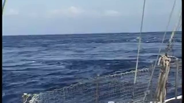 Uomini e Varani смотреть онлайн