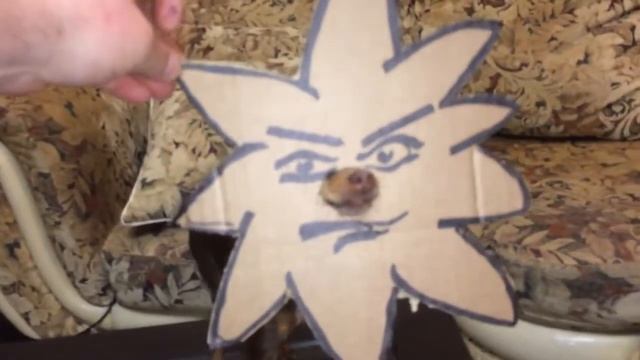 Собака и картон . Чуть фантазии !!!☺fun challege with a dog!!! смотреть онлайн