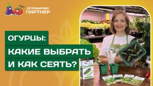 СЕКРЕТЫ ОГУРЕЧНОГО УСПЕХА // Выбор гибридов и легкие способы посева