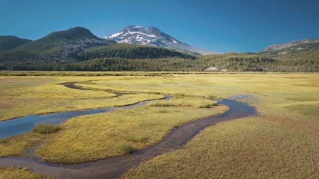 79/Видение "тонкого мира" от Лены Калашниковой. " Встреча возле больницы. " смотреть онлайн