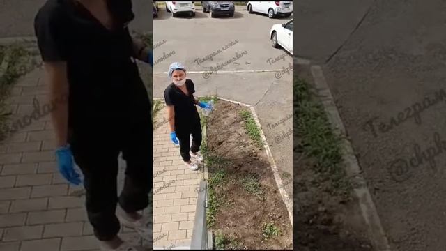 Женщина в Краснодаре грозится отравить собак смотреть онлайн