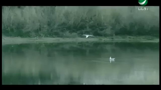 Rayan Hekyoo Eyneyk ريان - حكيو عينيك смотреть онлайн