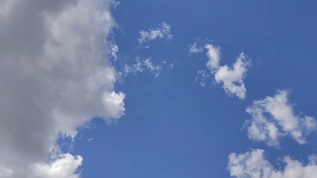 ёлочки смотреть онлайн