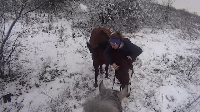 Как я запрыгиваю на лошадь смотреть онлайн