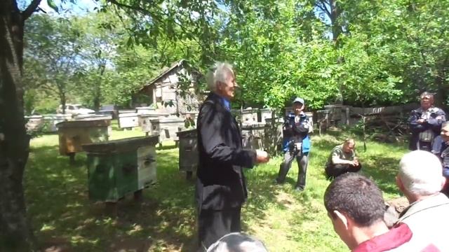 ПЧЕЛЫ (Переход на рамку 120х120) смотреть онлайн