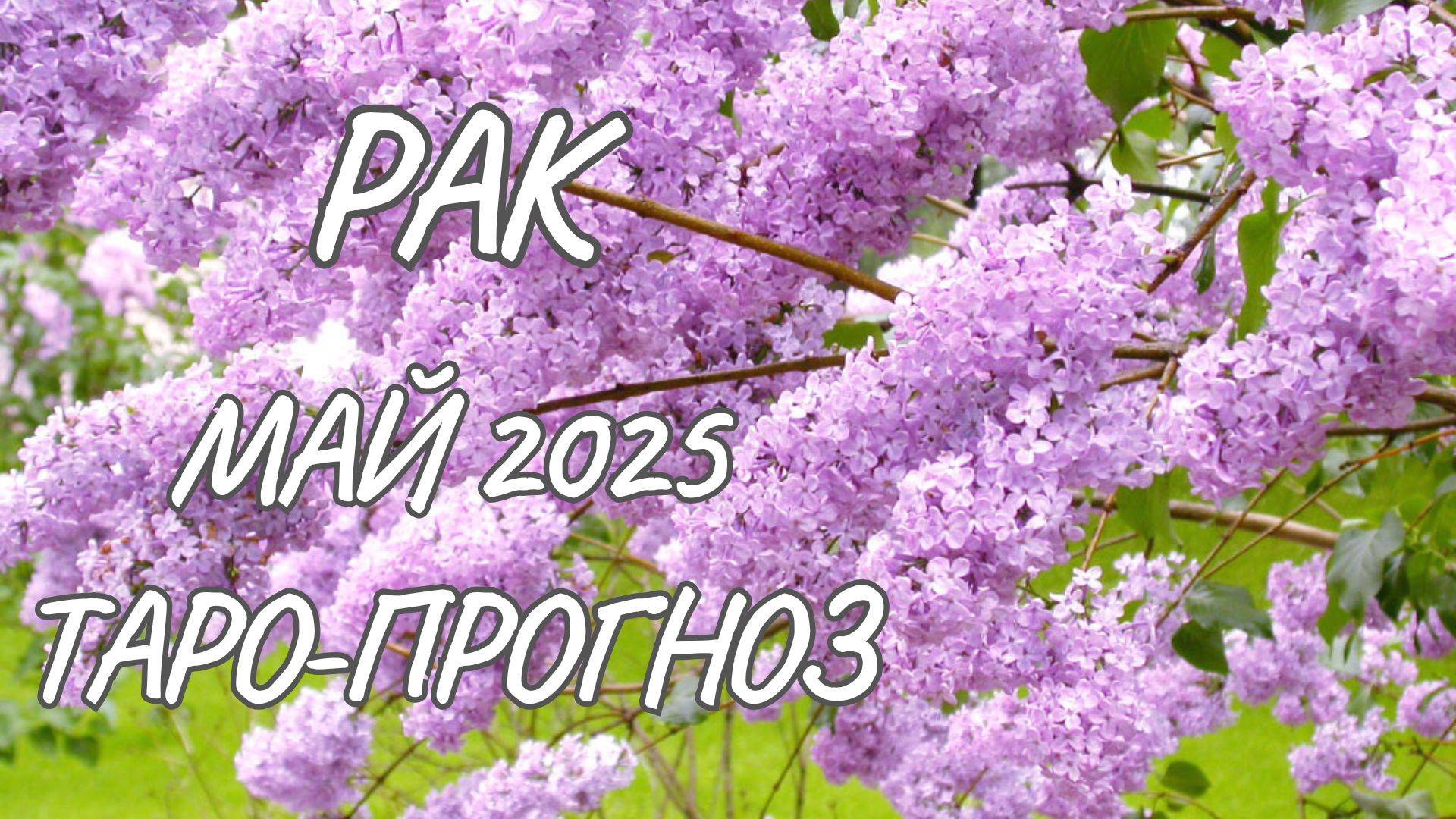 Рак ♋ Таро-прогноз на май 2025 года смотреть онлайн