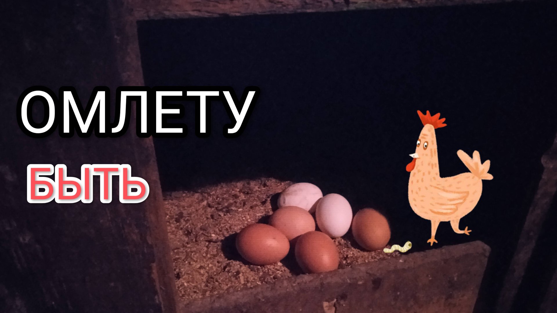 Куры-несушки несутся стабильно после того как получили все необходимое смотреть онлайн