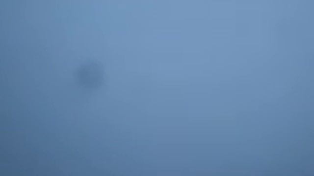 Полёт бойних голубей ( 06.02.19 ) смотреть онлайн