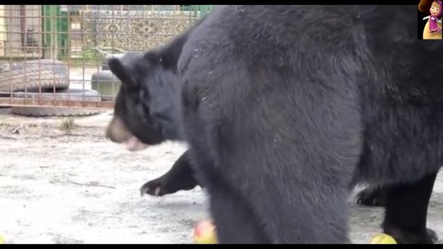 Маша и Миша,яблочный перекус,Masha and Misha, apple snack. смотреть онлайн