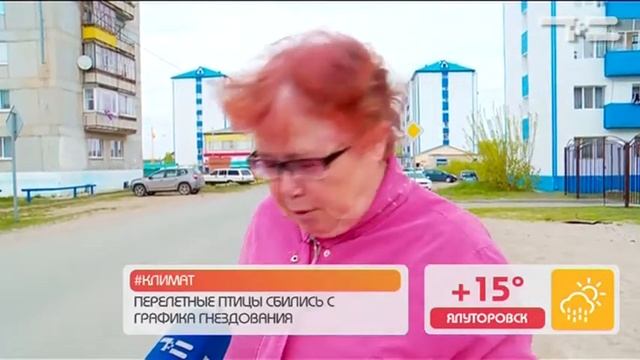 Народные новости - «Утро с Вами» 18.05.2017 смотреть онлайн