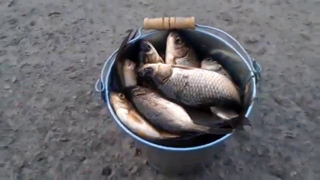 Ведро карасей смотреть онлайн