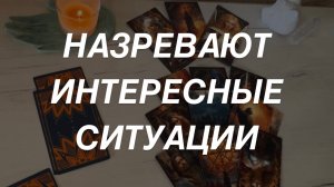 Таро расклад для мужчин. Зреющие Энергии Около Вас 🌒☀️