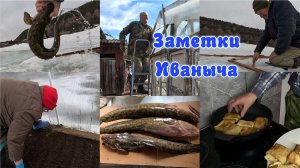 Огородные дела, поймал налимов, первые посадки в тепличке