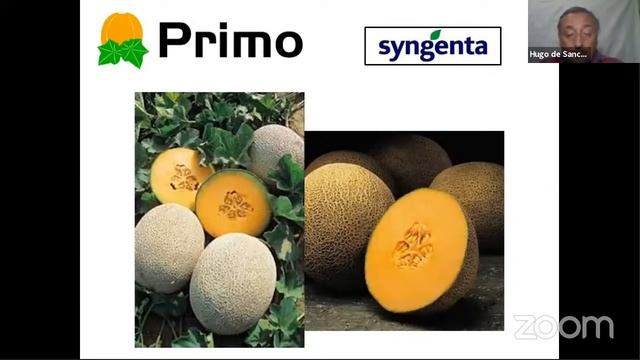1º Encuentro JORNADA HORTÍCOLA 2020 смотреть онлайн