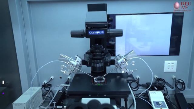 DPU IVF & Endoscopy Center  -  One Of India's Most Advanced IVF Center