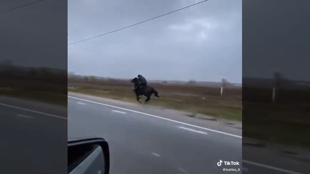 Лошадь быстрее жигулях 😂 смотреть онлайн