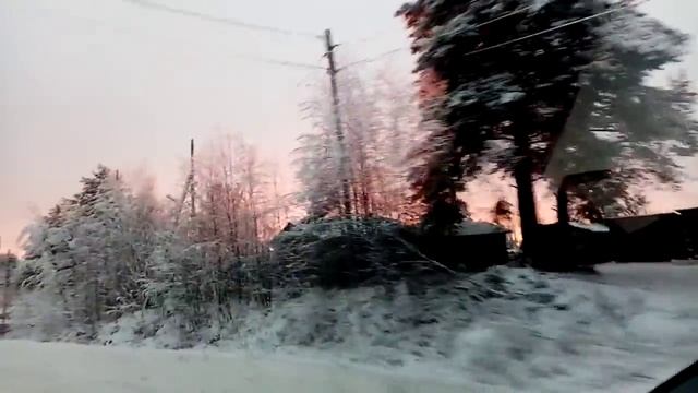 Розовое золото декабрьского солнца. 8 декабря 2022 года