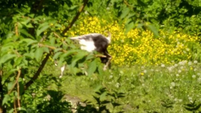 9 ДЕНЬ ОТПУСКА БЕЛОЕ ОЗЕРОВ ( ЧЕЧЕВИЦА ПО КАТОЛОНСКИ ) смотреть онлайн